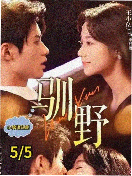戏剧影视悬疑电视剧档案室第九格剧照